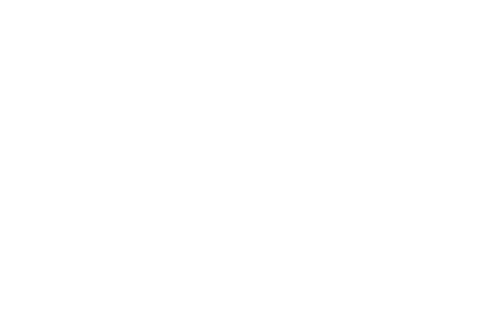 contour de la carte de la suisse